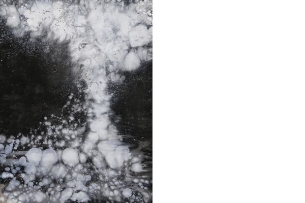 PADS VIII, 2015, 160 x 120 cm , Tinte auf Leinwand